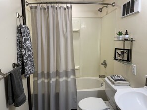 Combined shower/bathtub, hair dryer, towels, toilet paper - Lily Cottage - a cozy accomodation moments from the beautiful Ashokan reservoir (Olivebridge)