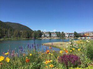 Surrounded by serene lakeside views and vibrant wildflowers, this hotel offers a tranquil escape amidst a natural forested hillside.