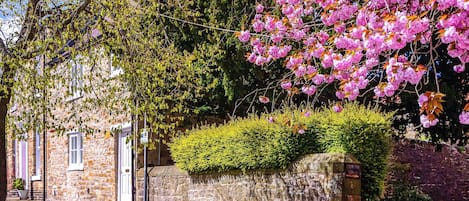 Área da propriedade