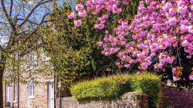 A stone building with a paved pathway and a wall with greenery. - 2 bedroom accommodation in Richmond (Richmond)