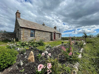 You will love everything about Mey Bee.