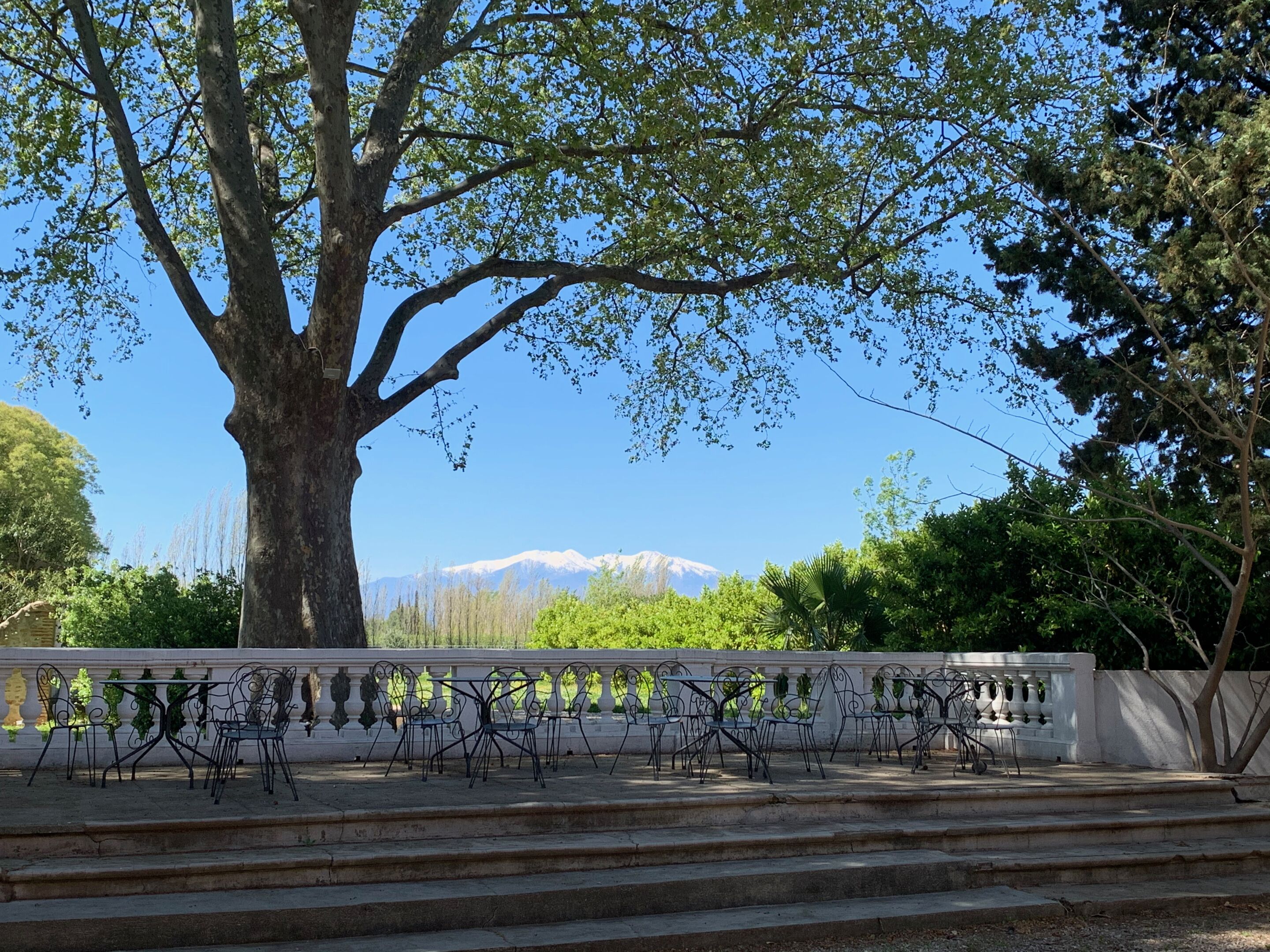Servei de restauració a l'aire lliure