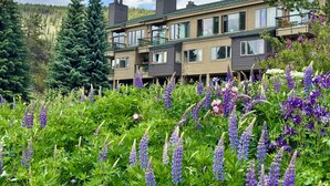 A multi-story residential building with balconies, surrounded by lush greenery and flowering plants. - Lenawee 1741 (Keystone)
