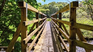 Uma ponte de madeira com grades, cercada por vegetação e árvores.