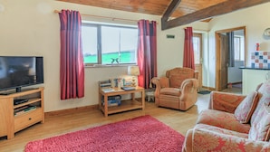 Een woonkamer met een televisie, boeken, een stoel, een vloerkleed en een raam met gordijnen.