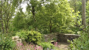 A garden with a stone wall, various plants, and a bench.