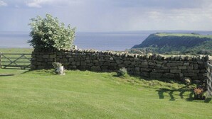 A stone wall with a tree on a grassy field, overlooking a coastal landscape with cliffs.
