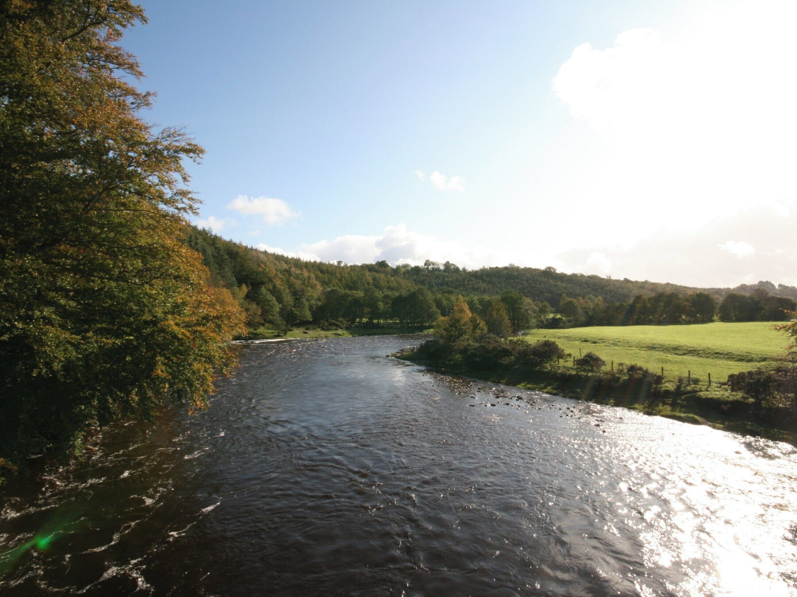 Een rivier die door een bebost gebied stroomt, onder een heldere hemel.