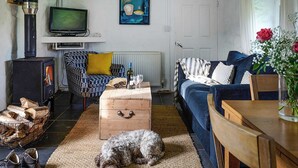 A cozy living room with a fireplace, a sofa, a television, and a dog. - 2 bedroom accommodation in Clynnog Fawr (Clynnog Fawr)