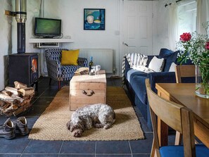 Fernseher, Kamin