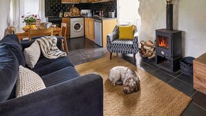 A cozy living room with a sofa, a dog, and a fireplace. - 2 bedroom accommodation in Clynnog Fawr (Clynnog Fawr)