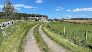A rural landscape with a gravel path leading to a stone wall, a house with a sloped roof, and a clear blue sky. - Rowan Cottage - UK38991 (Dalcross)
