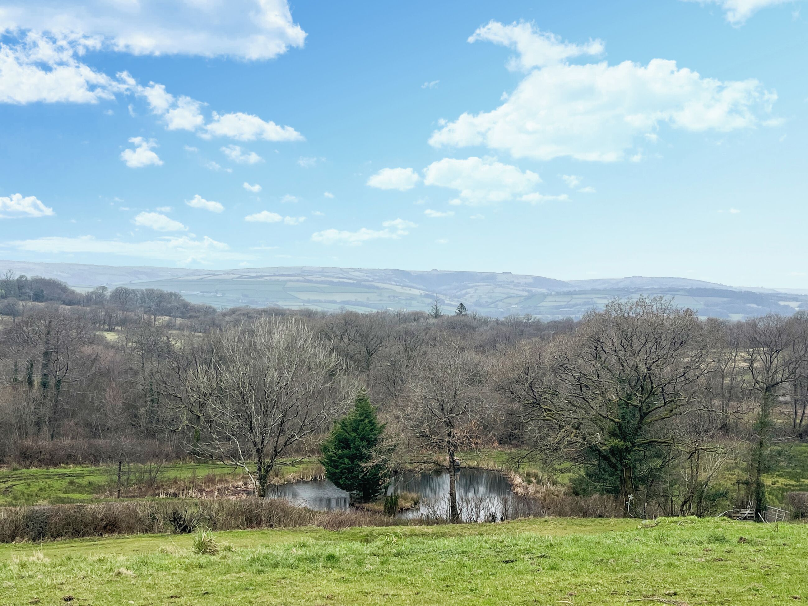 A rural landscape with a pond, trees, and rolling hills in the distance.