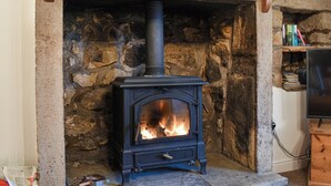 Une cheminée en pierre avec un poêle à bois noir, un téléviseur posé sur un meuble en bois à droite, et une étagère avec des livres et divers objets.