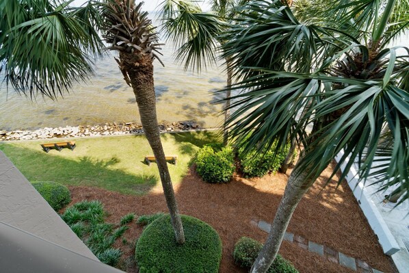 A landscaped garden with palm trees, a small pond, and a wooden bench. - Peaceful Bay 6386-Bay View-Sleeps 4 (Miramar Beach)