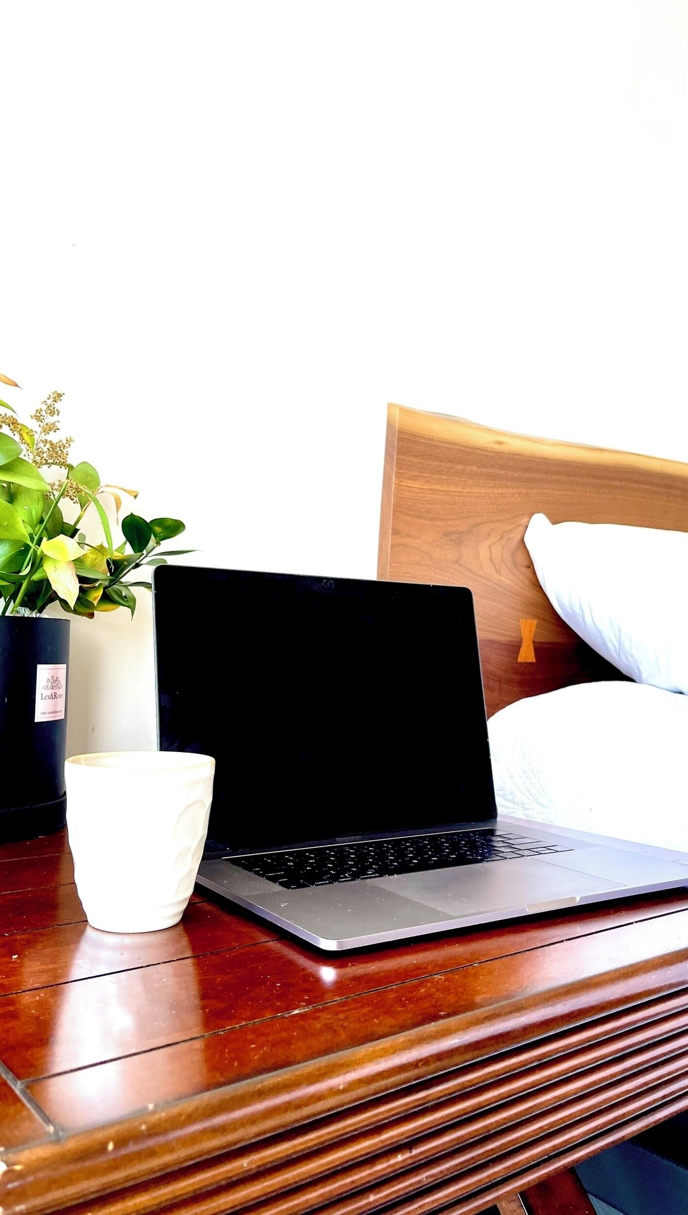 Un ordinateur portable sur une table en bois, une tasse blanche et une plante en pot aux feuilles vertes.