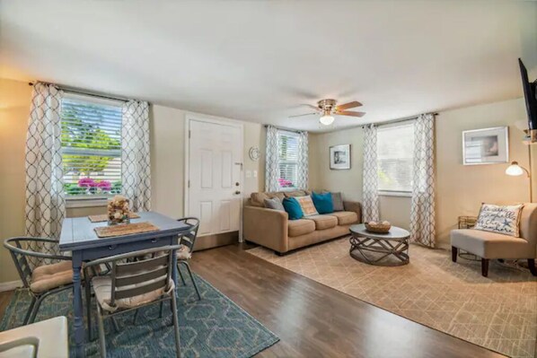 Smart TV, fireplace, books