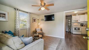 Smart TV, fireplace, books