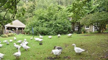 Jardines del alojamiento