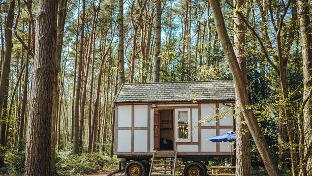 Una pequeña cabaña de madera en un bosque, con techo de paja, una ventana y una puerta.