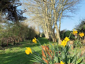 Property grounds - 2 bedroom accommodation in Mundesley, near Cromer (Mundesley, near Cromer)