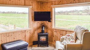 Un interior de madera con chimenea, un sofá y un televisor.