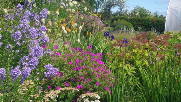 Un jardin où l’on trouve une grande variété de plantes à fleurs, ainsi qu’une serre.