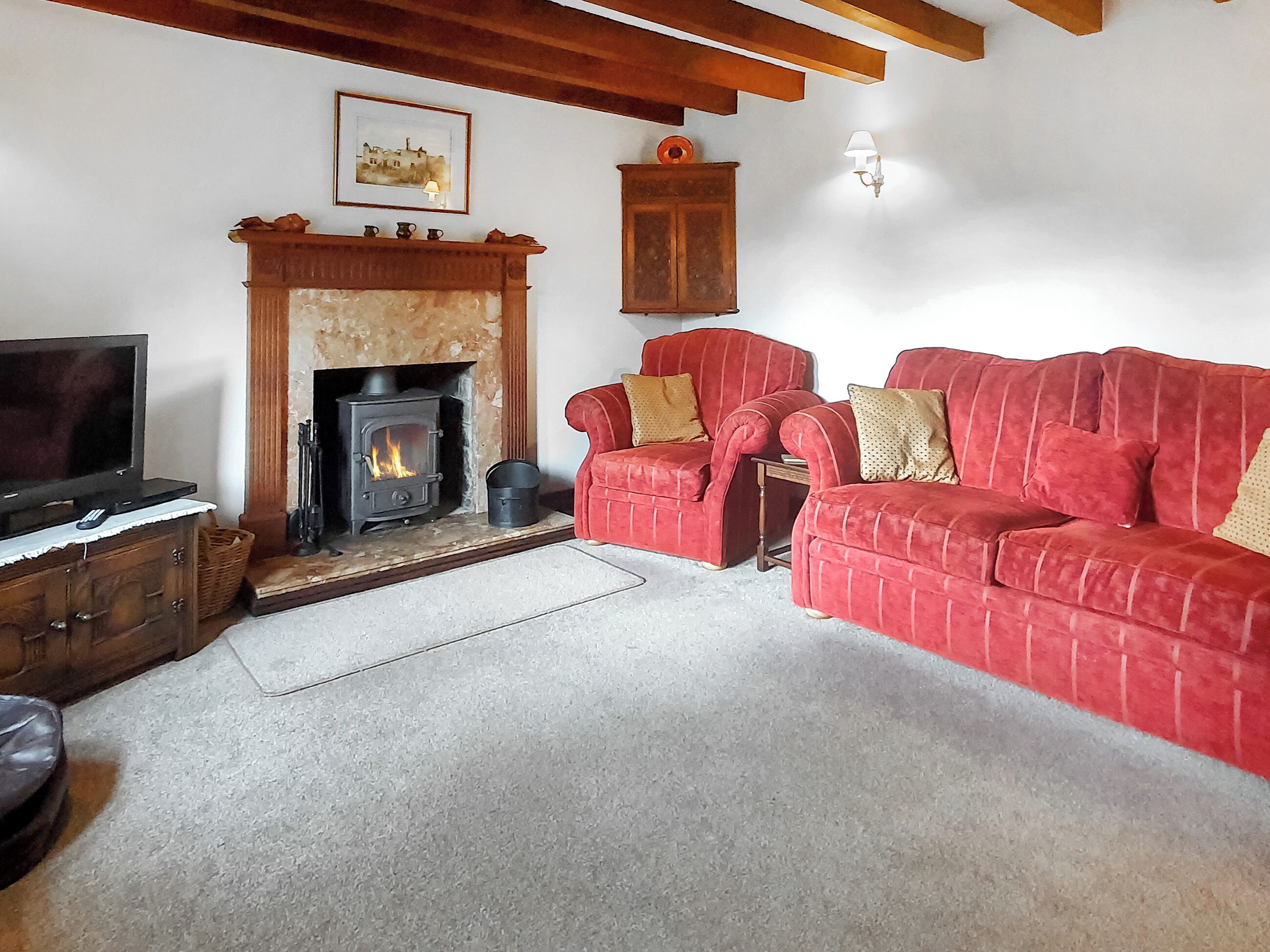 TV, fireplace