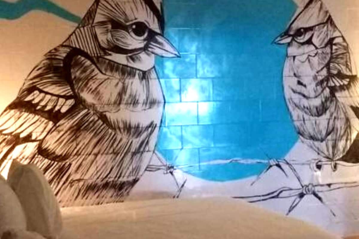 Down duvets, individually decorated, free WiFi, bed sheets