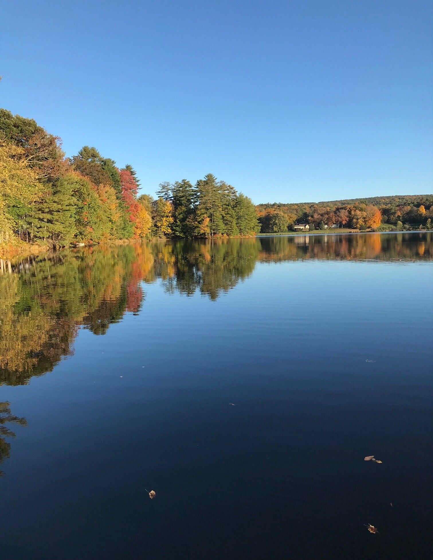 Um lago calmo com reflexos de árvores e um céu claro.
