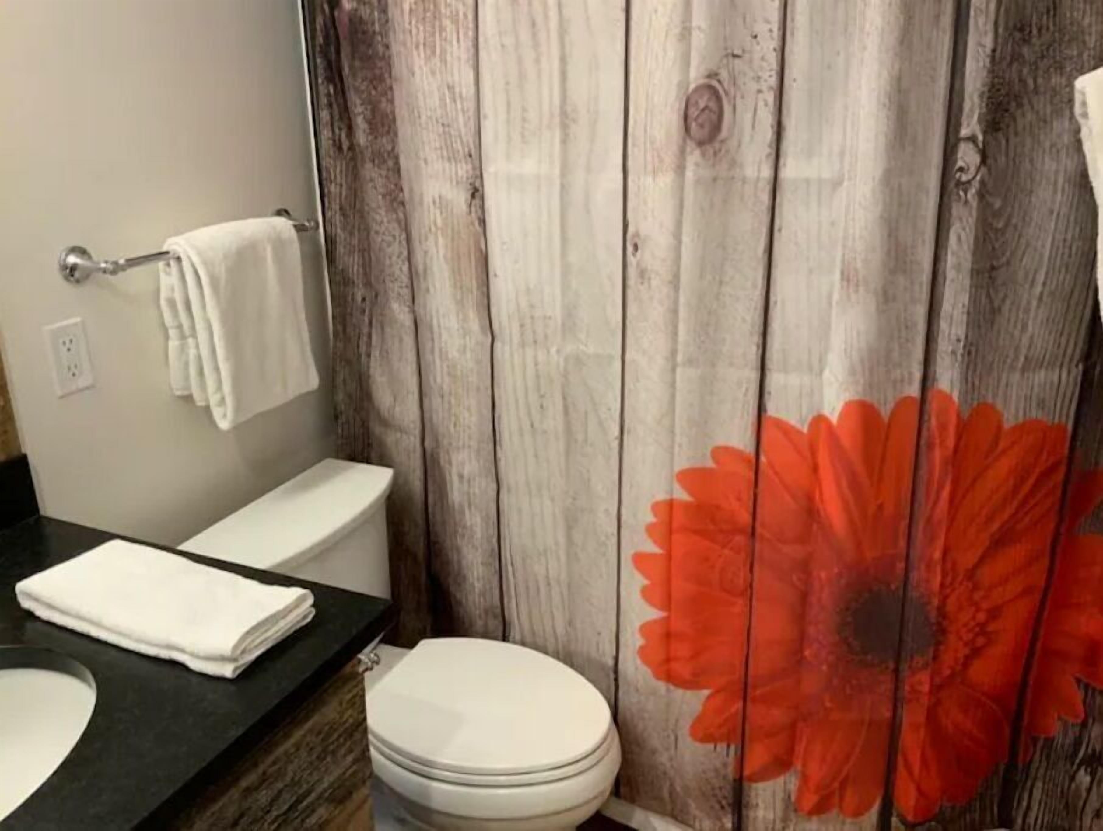 Une salle de bain avec un rideau de douche en bois, des toilettes blanches et un plan de toilette noir avec un lavabo.
