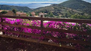 Une clôture en bois, agrémentée de fleurs violettes éclatantes au premier plan, un paysage montagneux et un ciel dégagé en arrière-plan.