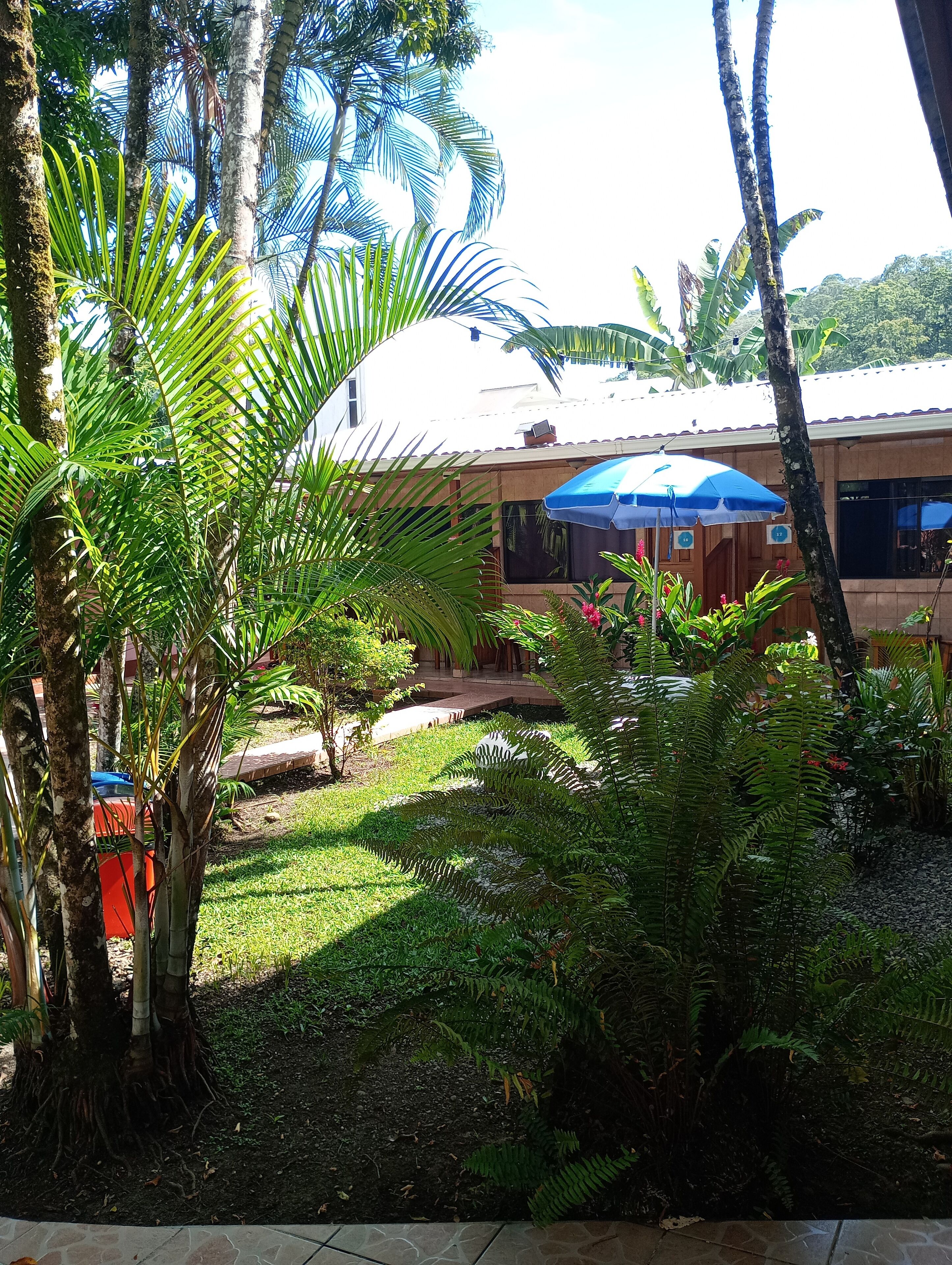 Vista frontal de la propiedad