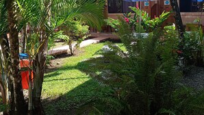 Un jardín tropical con palmeras y helechos, un edificio con toldo azul y una zona de patio con baldosas.