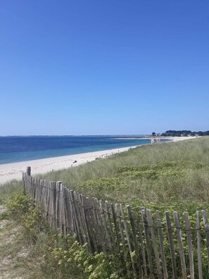 Plage, chaises longues