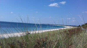 Plage, chaises longues