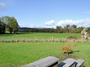 Property grounds - Detached bungalow in the heart of the Cambrian mountain range. (Pontrhydfendigaid)