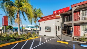 A parking lot with marked spaces, a building with a red awning, and a palm tree. - Red Roof Inn Los Angeles – Bellflower (Bellflower)