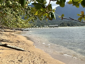 Plage à proximité, chaises longues, serviettes de plage