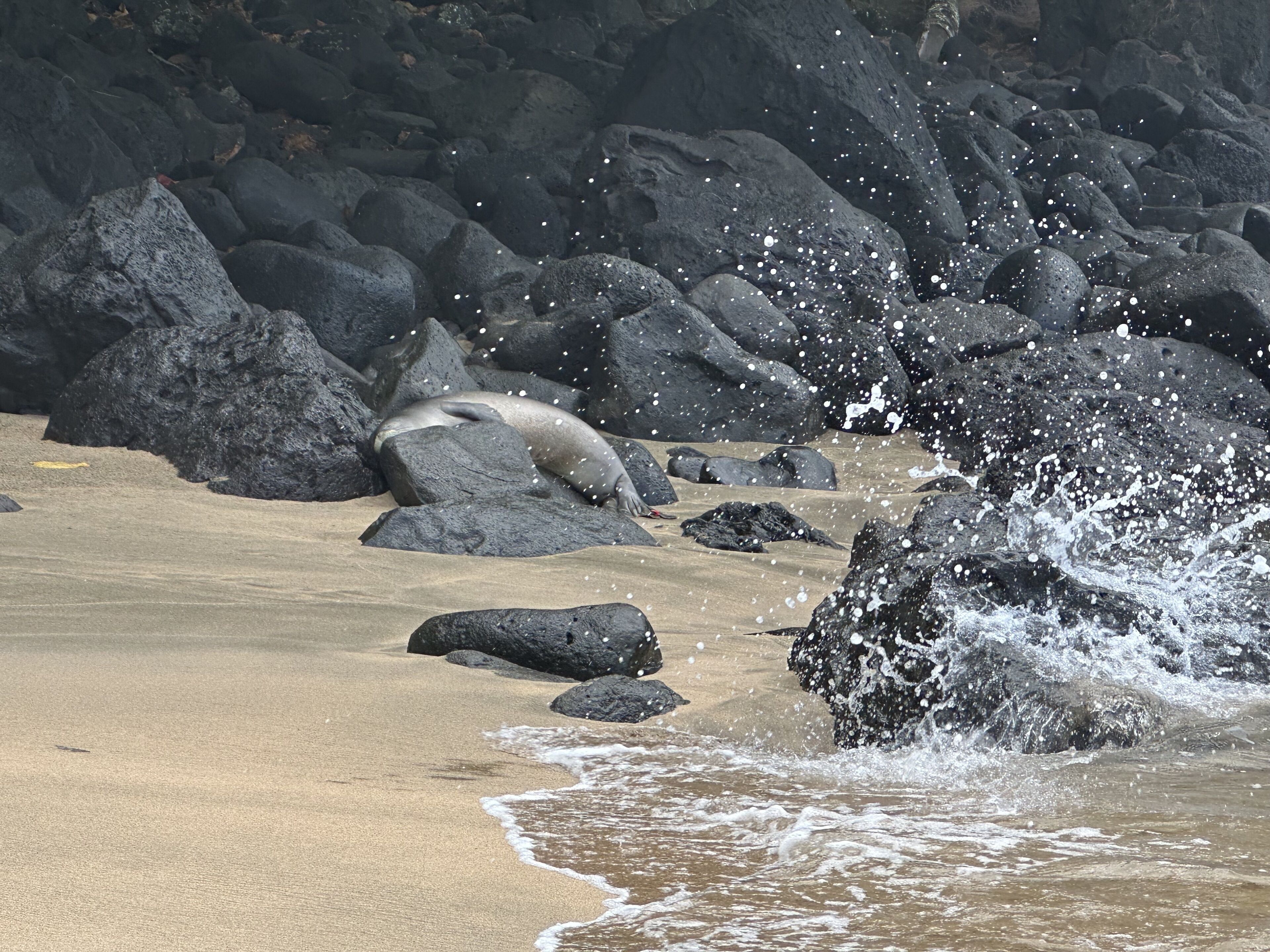 Beach nearby, sun-loungers, beach towels