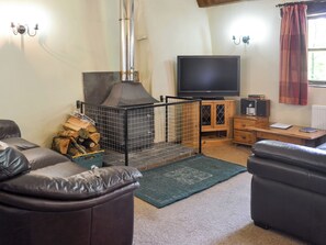 Fernseher, Kamin