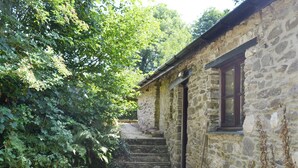 A stone building with a wooden door and window, surrounded by dense foliage.