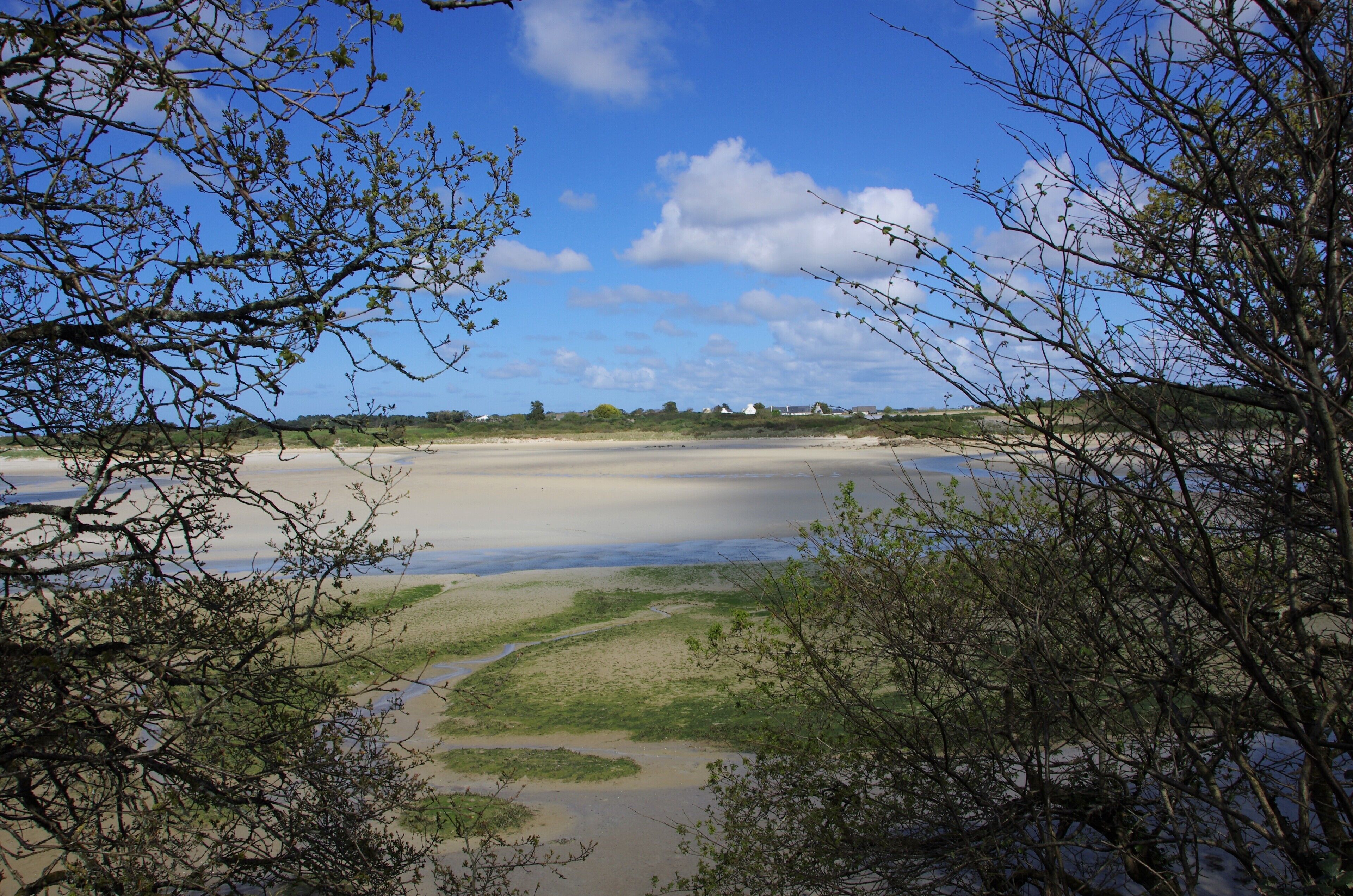 A beach with a clear sky, surrounded by sparse vegetation.