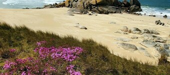 Ker Melen single-storey wooden house 5 minutes from the beach (Finistère, Brittany)