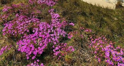 Maison Ker Melen en bois de plain-pied Ă 5 min des plages (FinistĂšre, Bretagne)