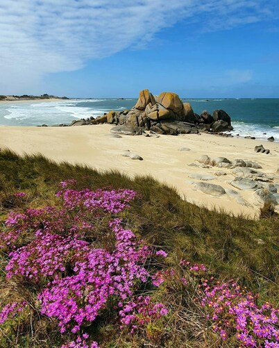 Ker Melen single-storey wooden house 5 minutes from the beach (Finistère, Brittany)