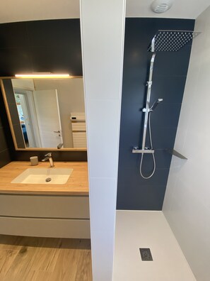 Shower, hair dryer, towels, soap