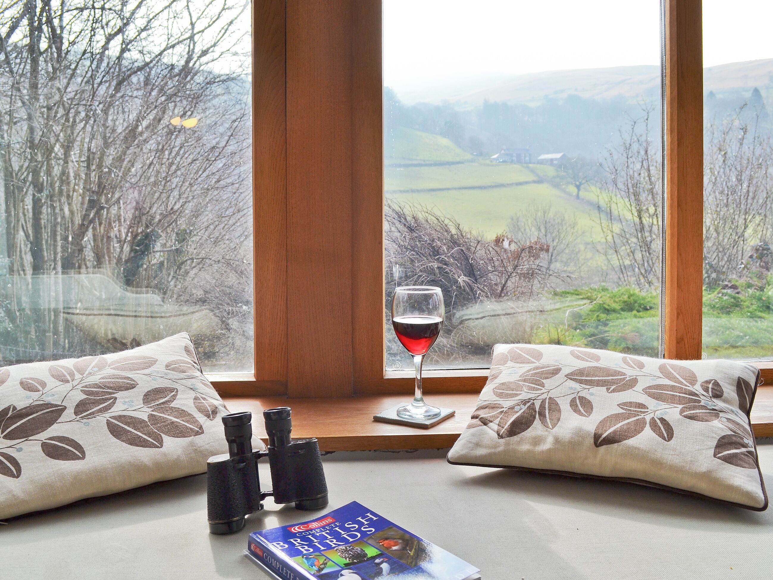 A window seat with binoculars, a glass of red wine, and a book titled "Complete British Birds".