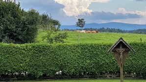 Un jardín bien cuidado con un comedero de pájaros de madera, setos recortados y un césped verde.