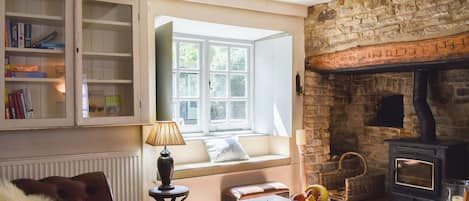 Televisión y chimenea